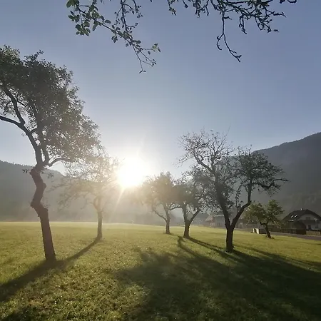 Vendégház Adventure House 3*