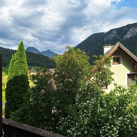 Guest house Adventure House