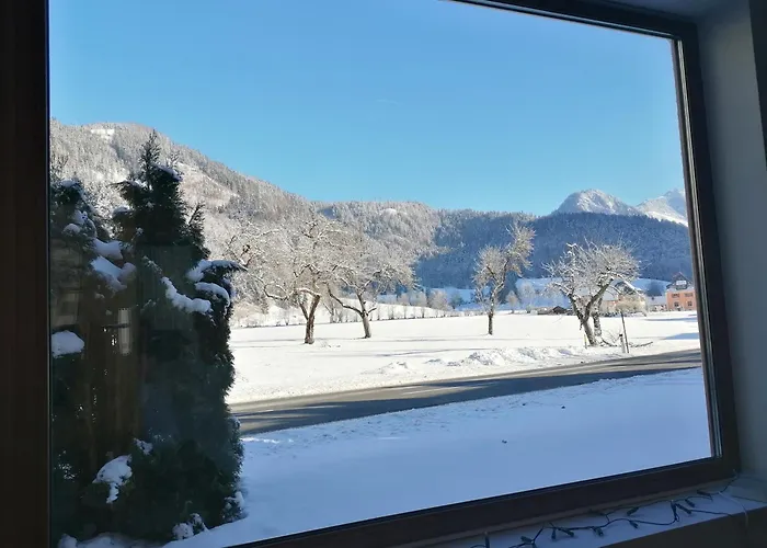 Affittacamere Adventure House 3*